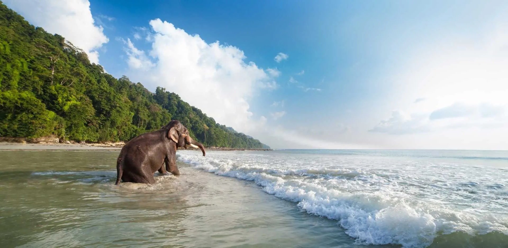 Andaman & Nicobar 3