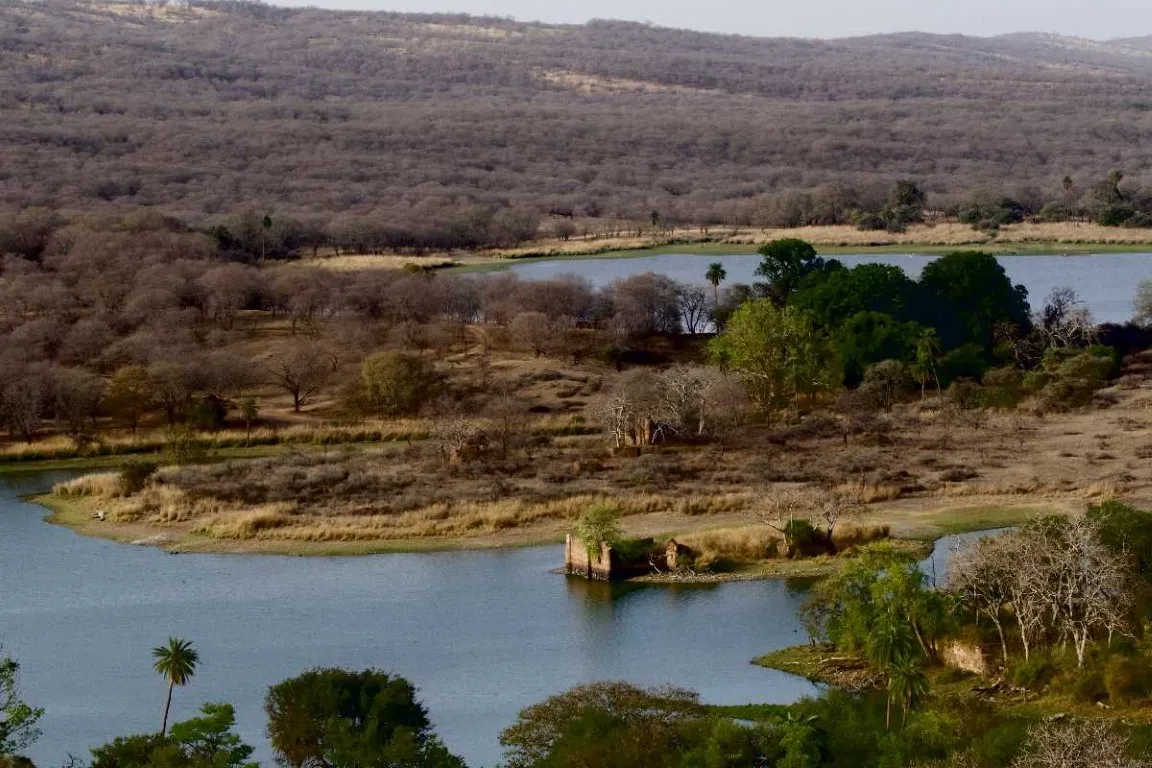 Rajasthan 3