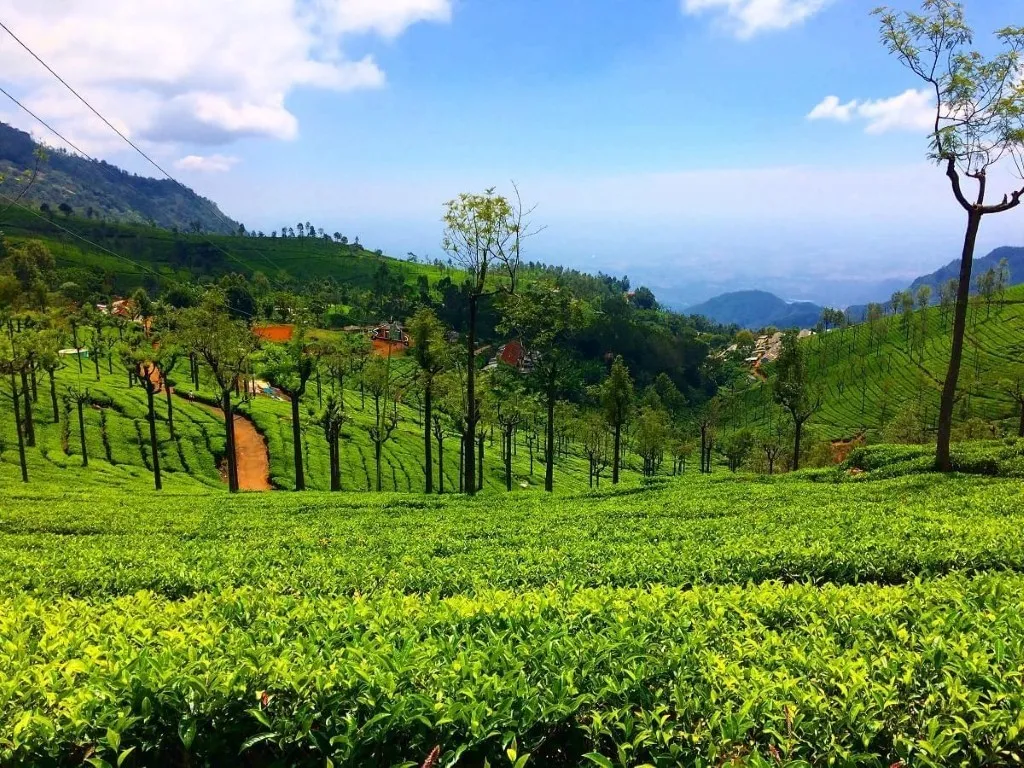 Tamil Nadu 3