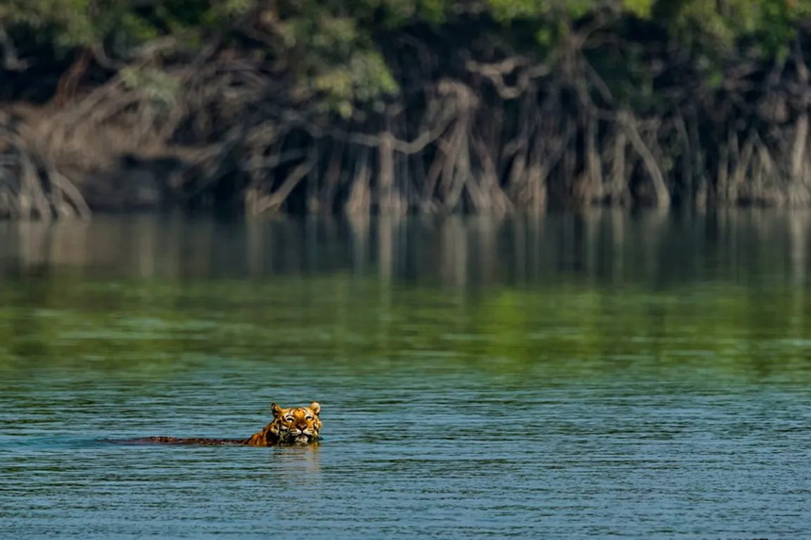 West Bengal 3